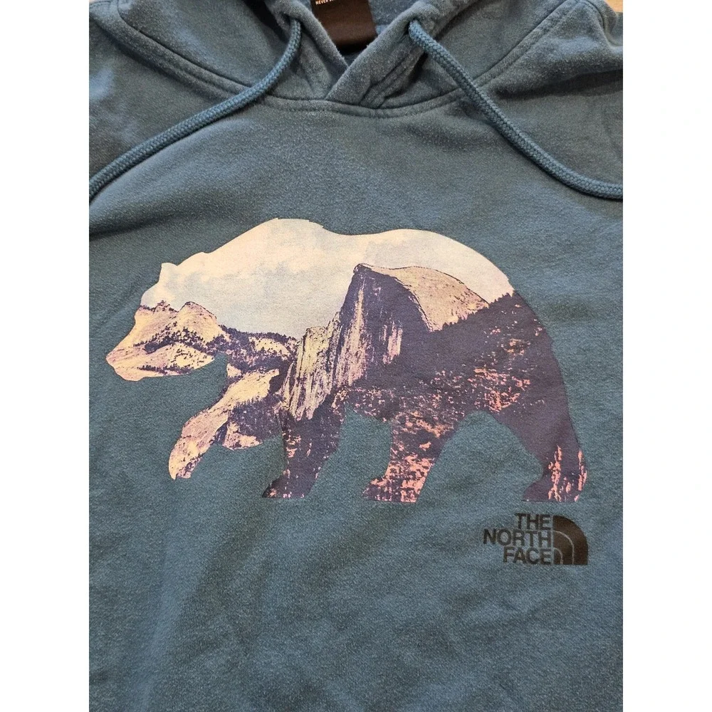 The North Face Men's Size Large Blue Bear Graphic Hoodie Pullover